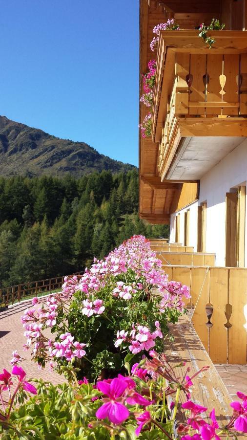Belvedere Mountain Experience Hotel Monno ภายนอก รูปภาพ